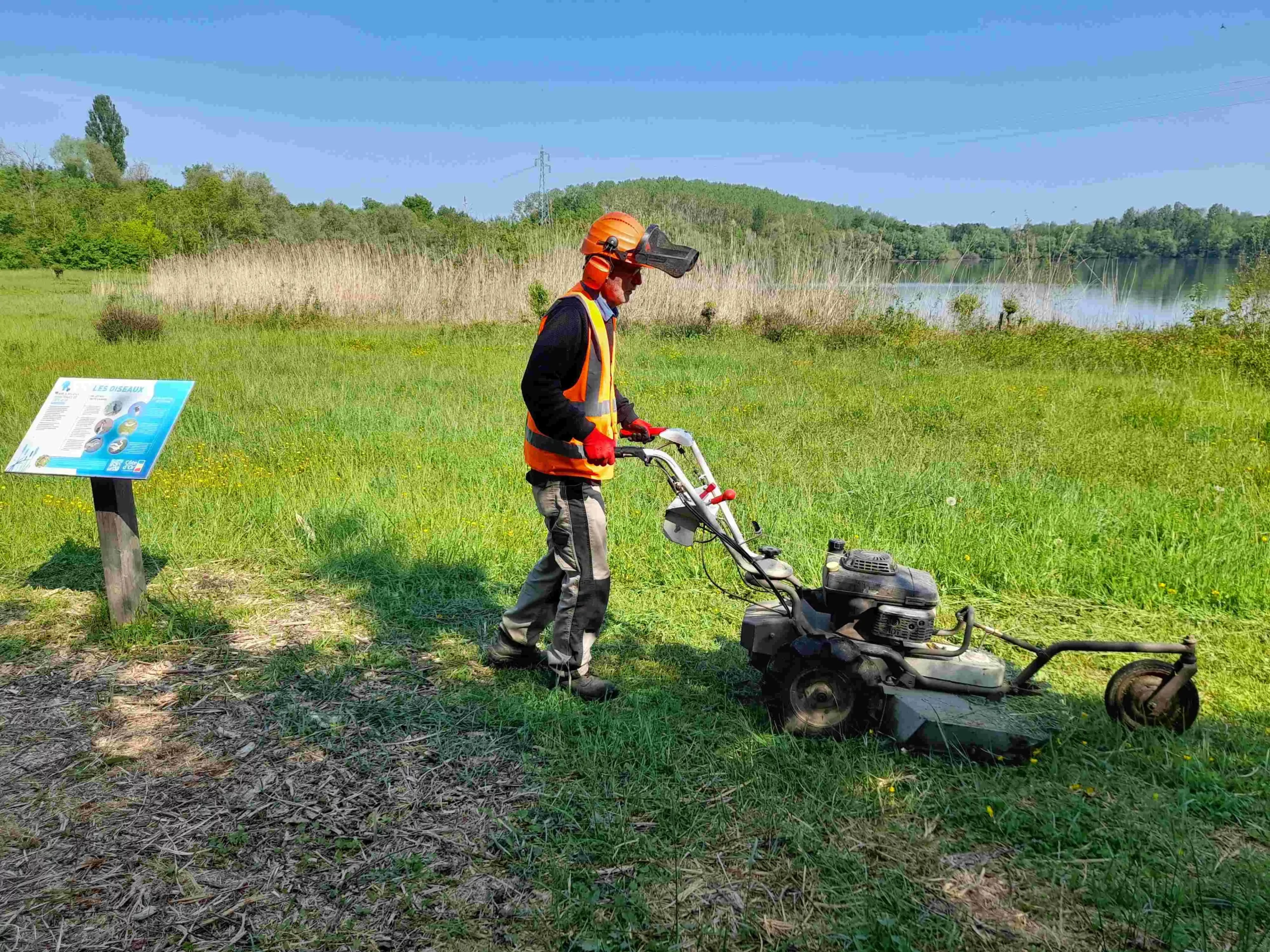 Salarié de DEFIS réalisant des travaux d’entretien environnemental et de fauchage d’espaces naturels.